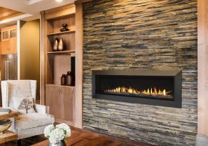 Echelon Direct Vent Gas Fireplace